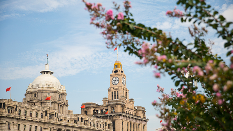 Flowers bloom in spring at the Bund