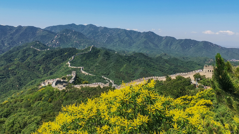 Summer View of Badaling Great Wall