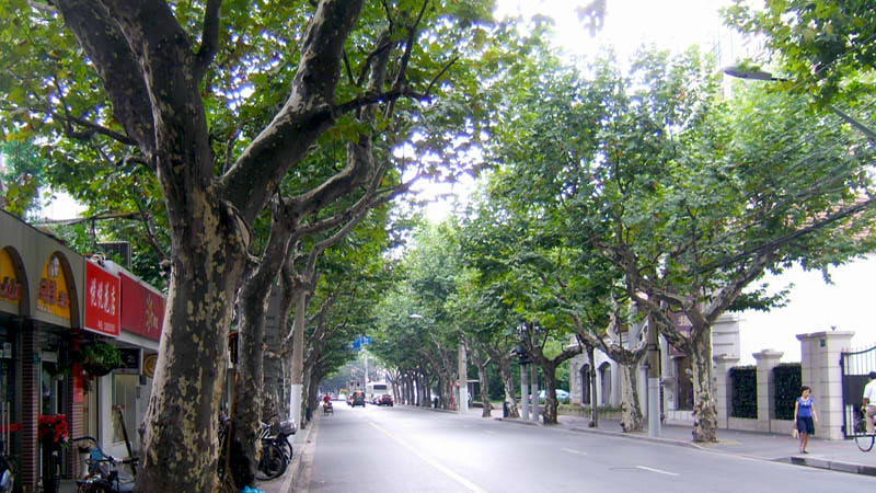 Old French Concession Streets