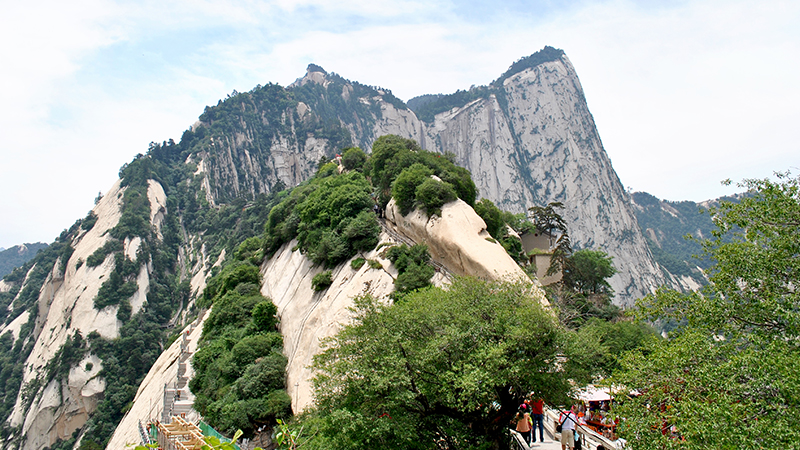 Mount Hua is rich in greenery