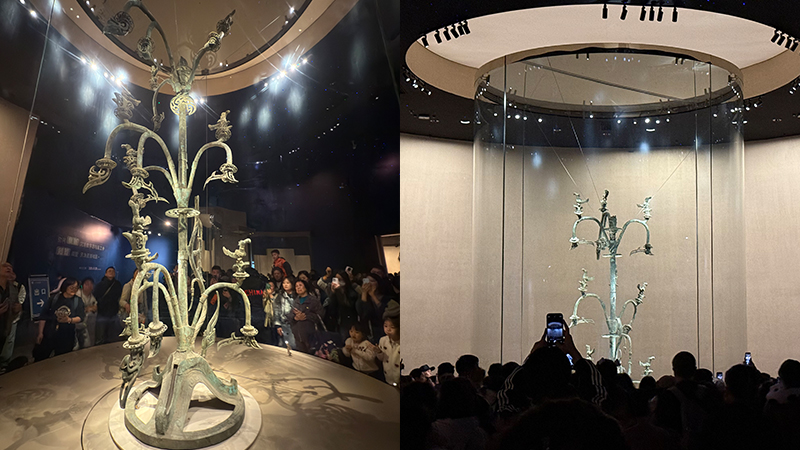 Admire the Sacred Tree at different distance