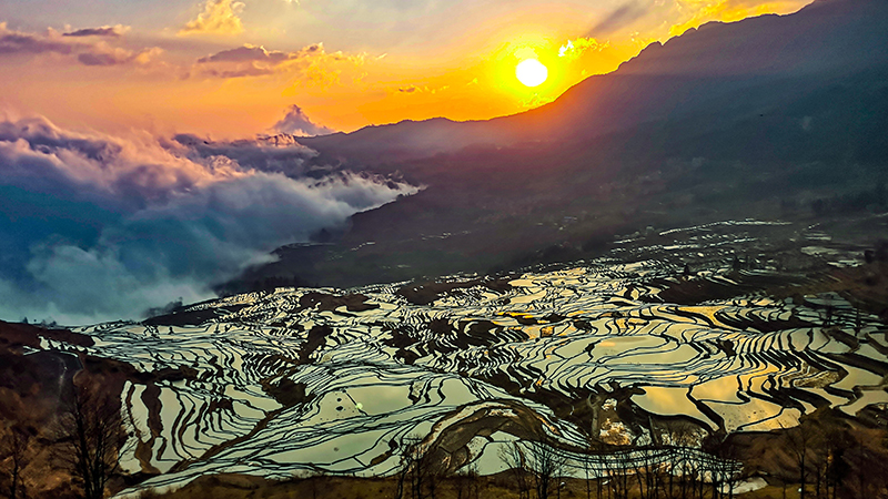 Yuanyang Rice Terraces