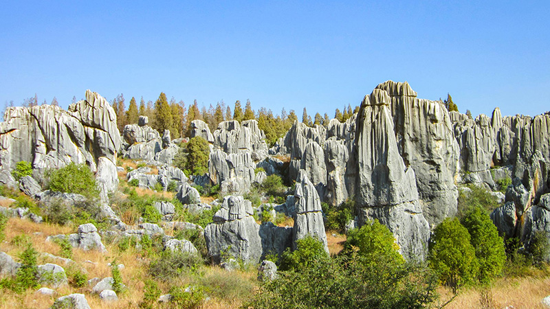 Stone Forest, Kunming
